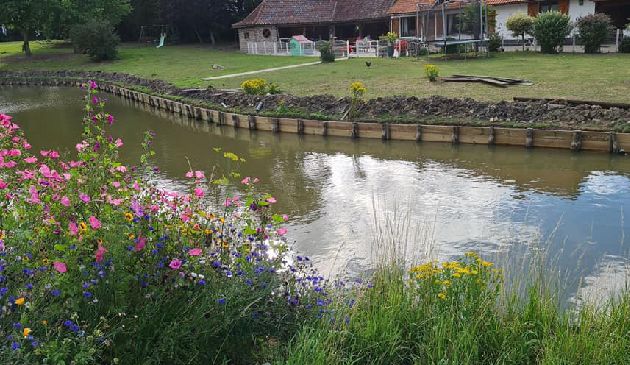 Entreprise de jardinier paysagiste à Saint-Omer