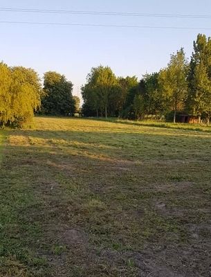 Tonte de pelouse à Calais