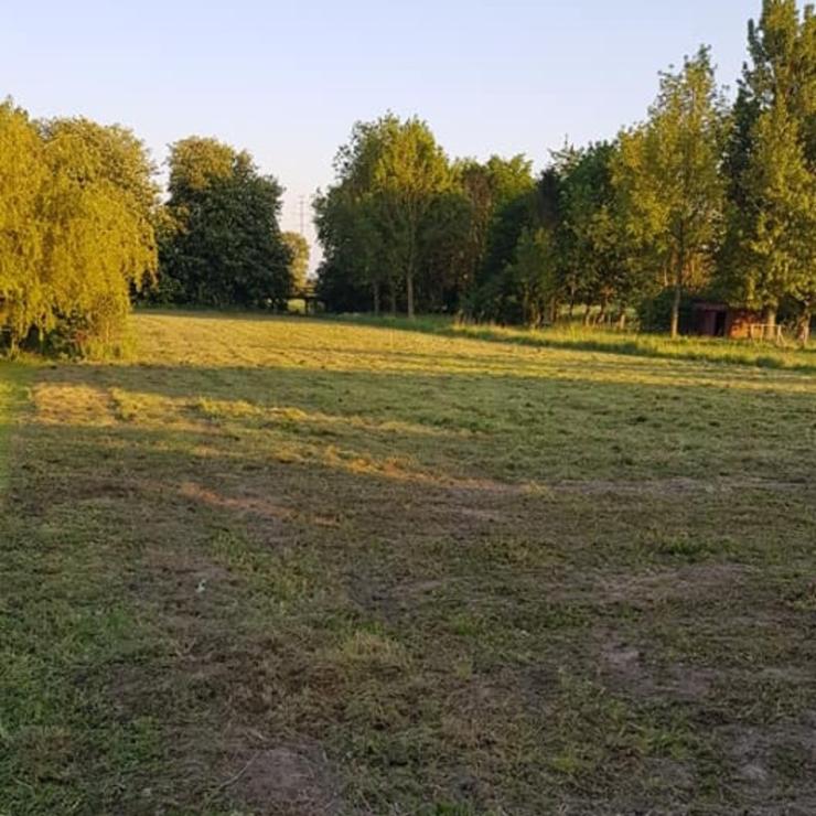 Entretien d'espaces verts à Bailleul